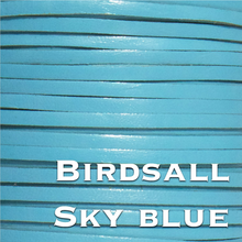 Load image into Gallery viewer, a close up of a sky blue colored bird tail