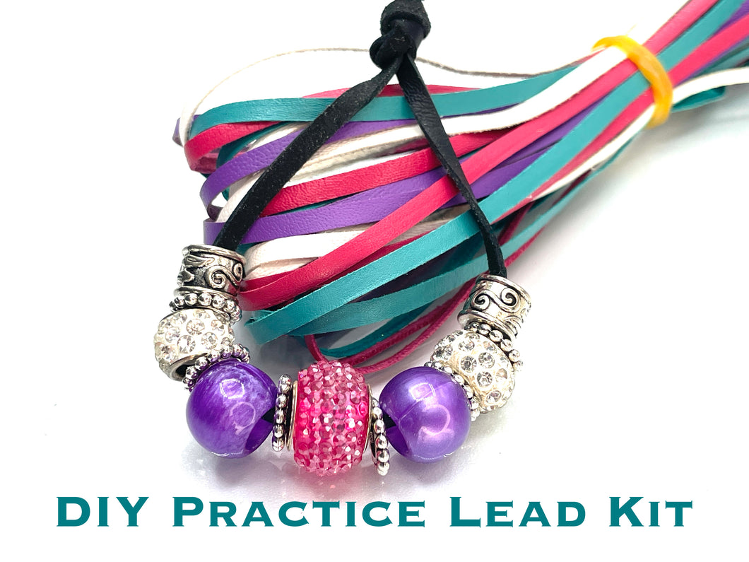 Practice DIY show Lead Kit (Colors will vary)