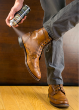 Load image into Gallery viewer, Bickmore-Gard More Water &amp; Stain Repellent (Areosol)
