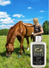 Load image into Gallery viewer, Bickmore-Super H Antiseptic Powder-4oz
