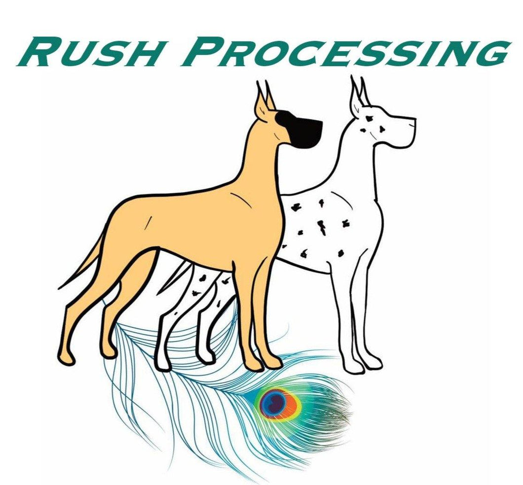 Rush Processing Upgrade